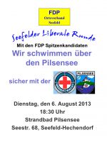 Liberale-Runde-20130806